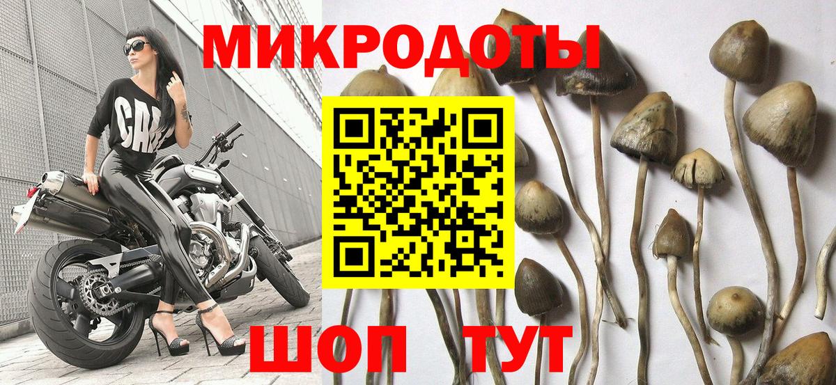 Барабинск  Псилоцибиновые грибы Psilocybe  Вход с VPN 